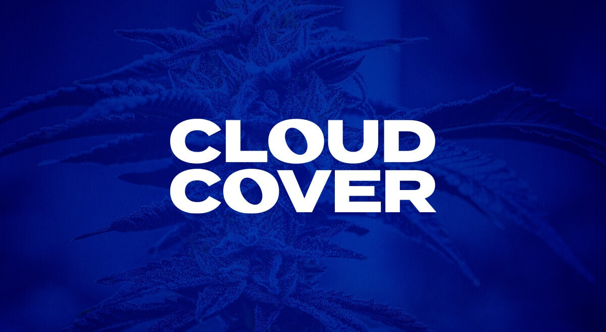 Cloud Cover Cannabis Logo